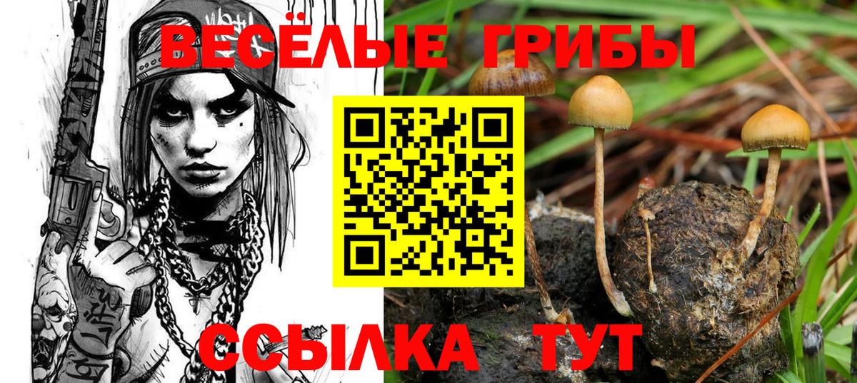 Тверь  где купить   Вход с VPN  Галлюциногенные грибы мицелий  Псилоцибиновые грибы Psilocybine cubensis 